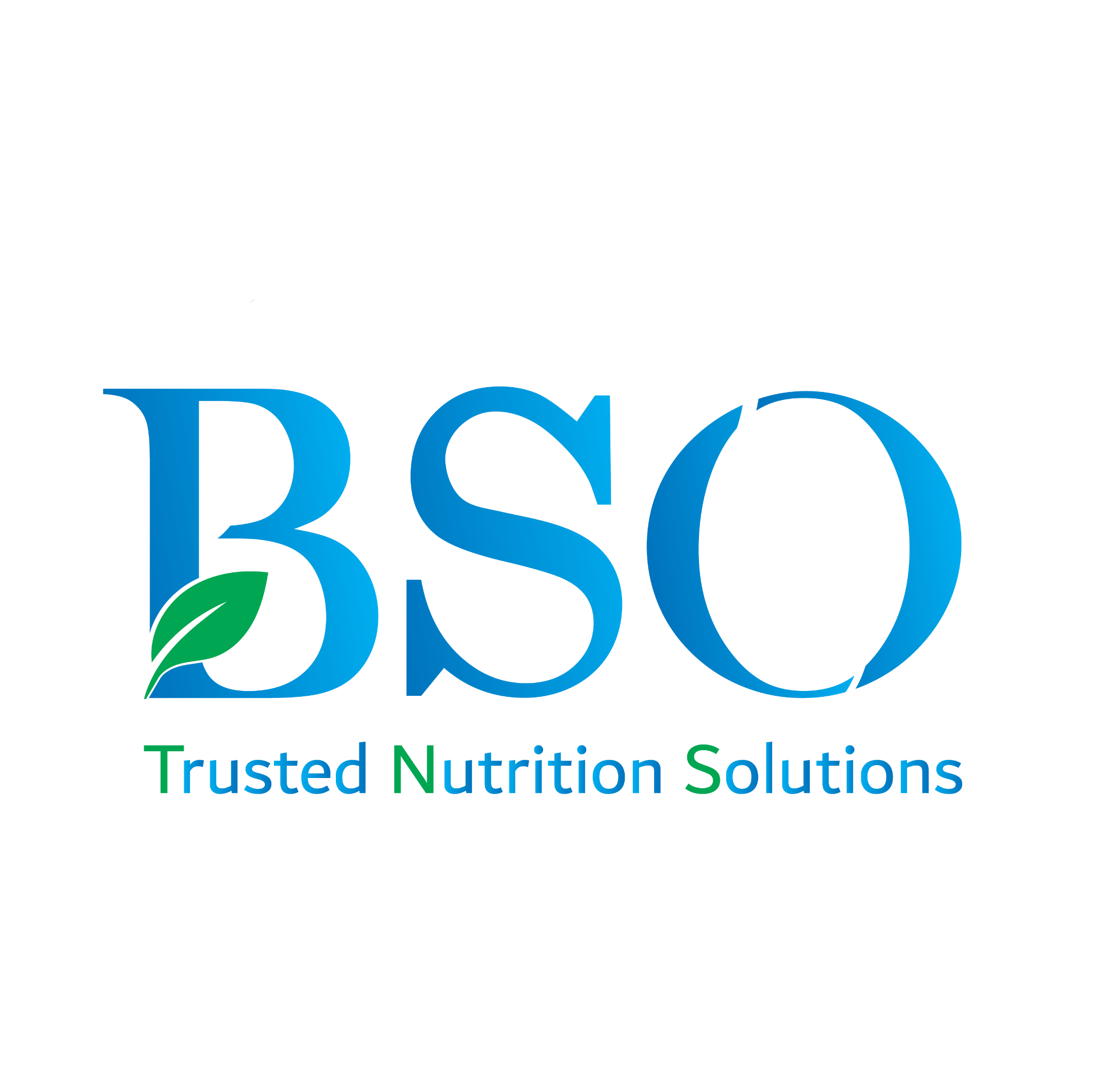BSO Logo
